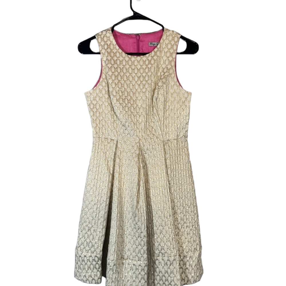 Eliza J Cream Print Embroidered Sleeveless Fit & Flare Formal Dress Women Sz 2P